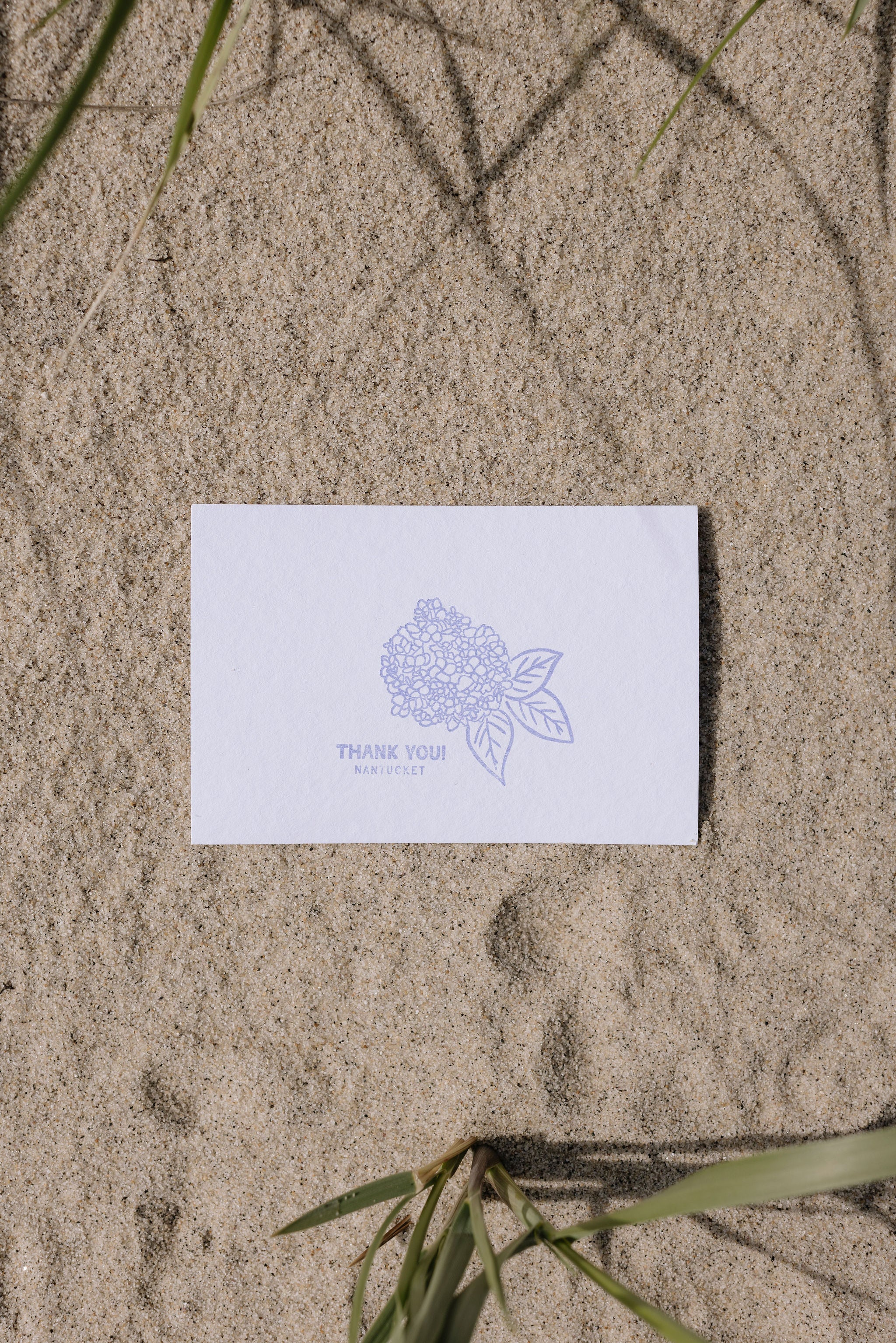 White postcard with blue floral design and text on sandy ground