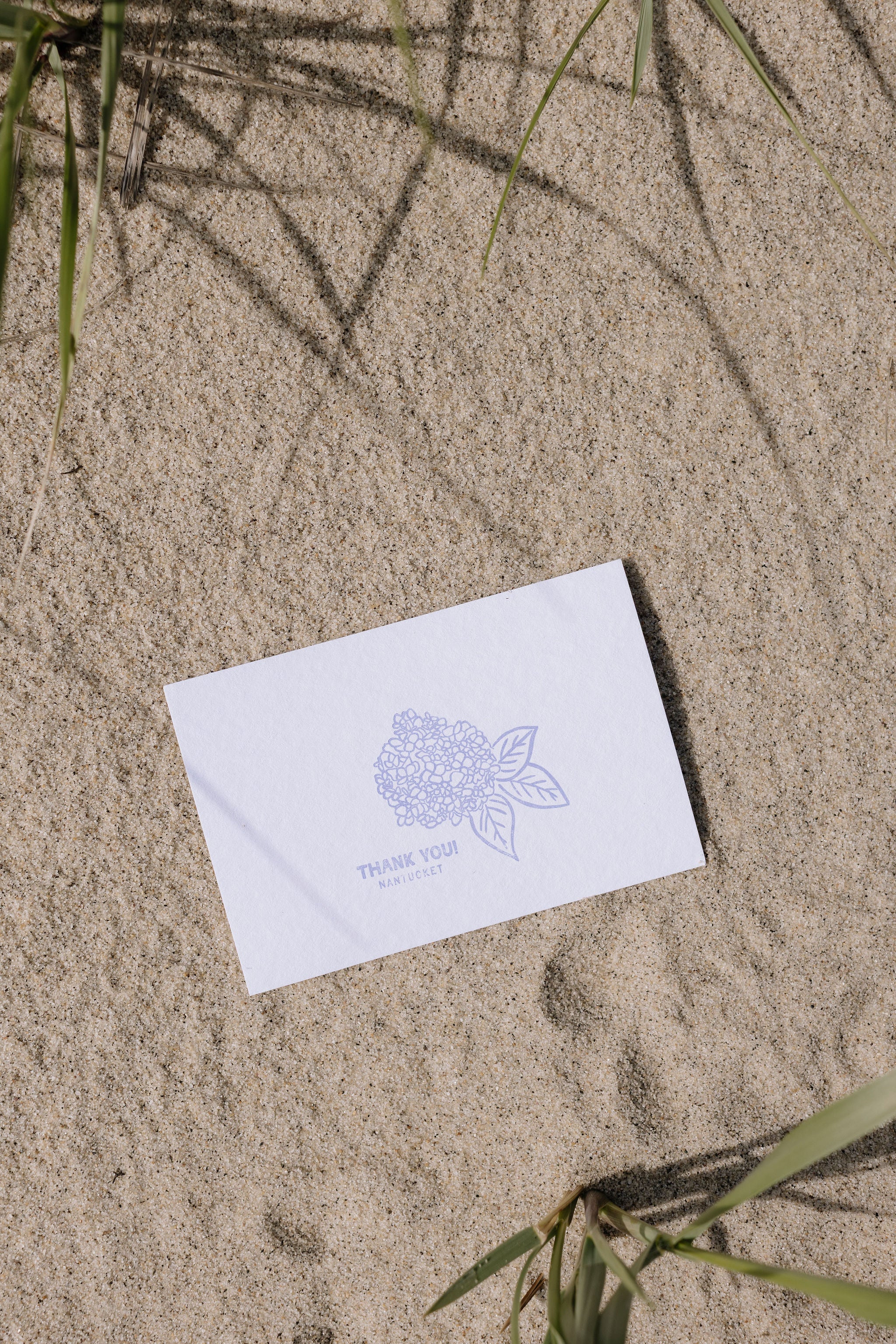 White postcard with blue floral design and text on sandy ground