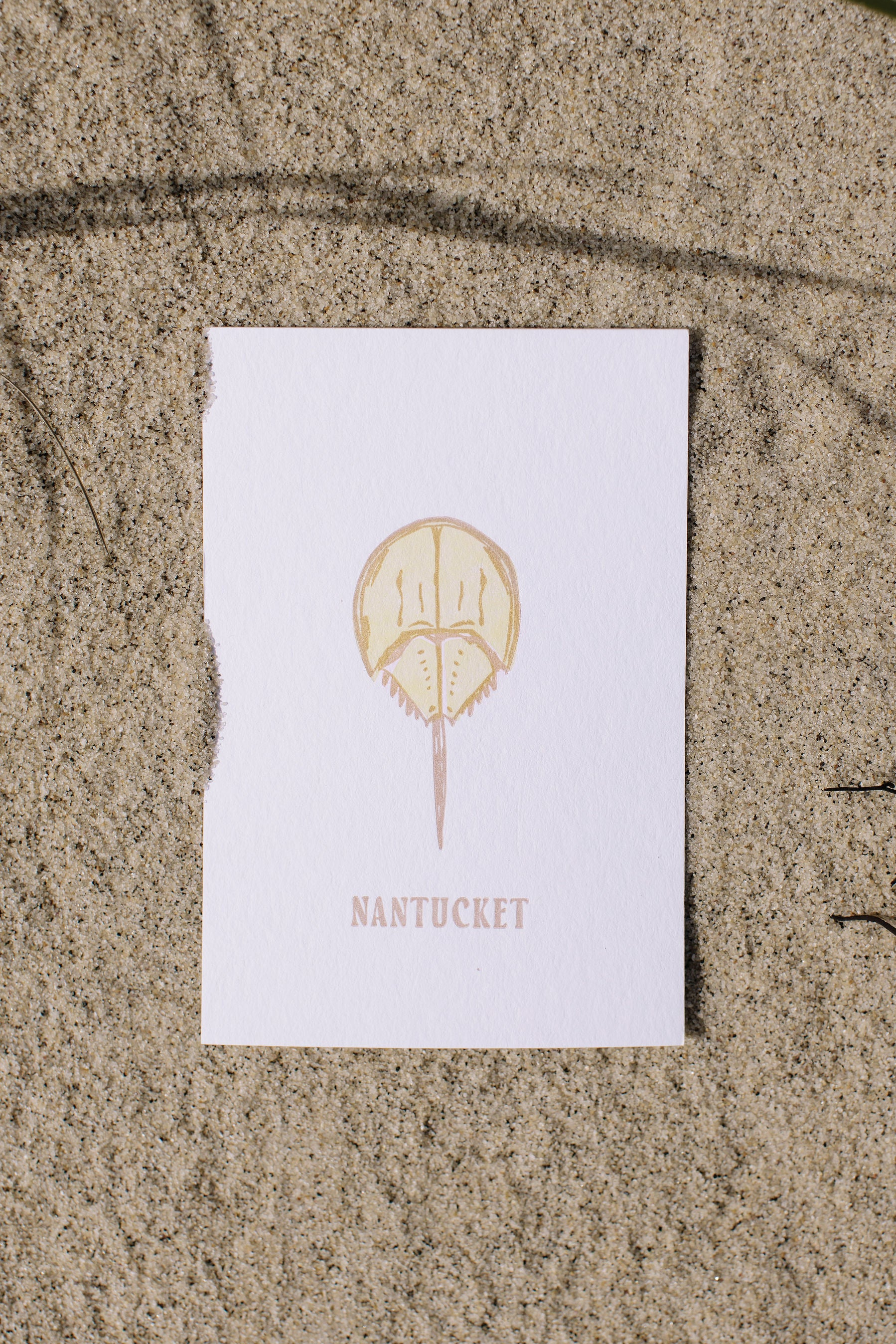 Card with a horseshoe crab illustration and 'Nantucket' text on sand